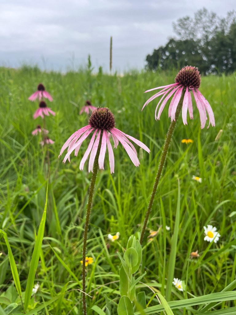 Fear Nothing but God