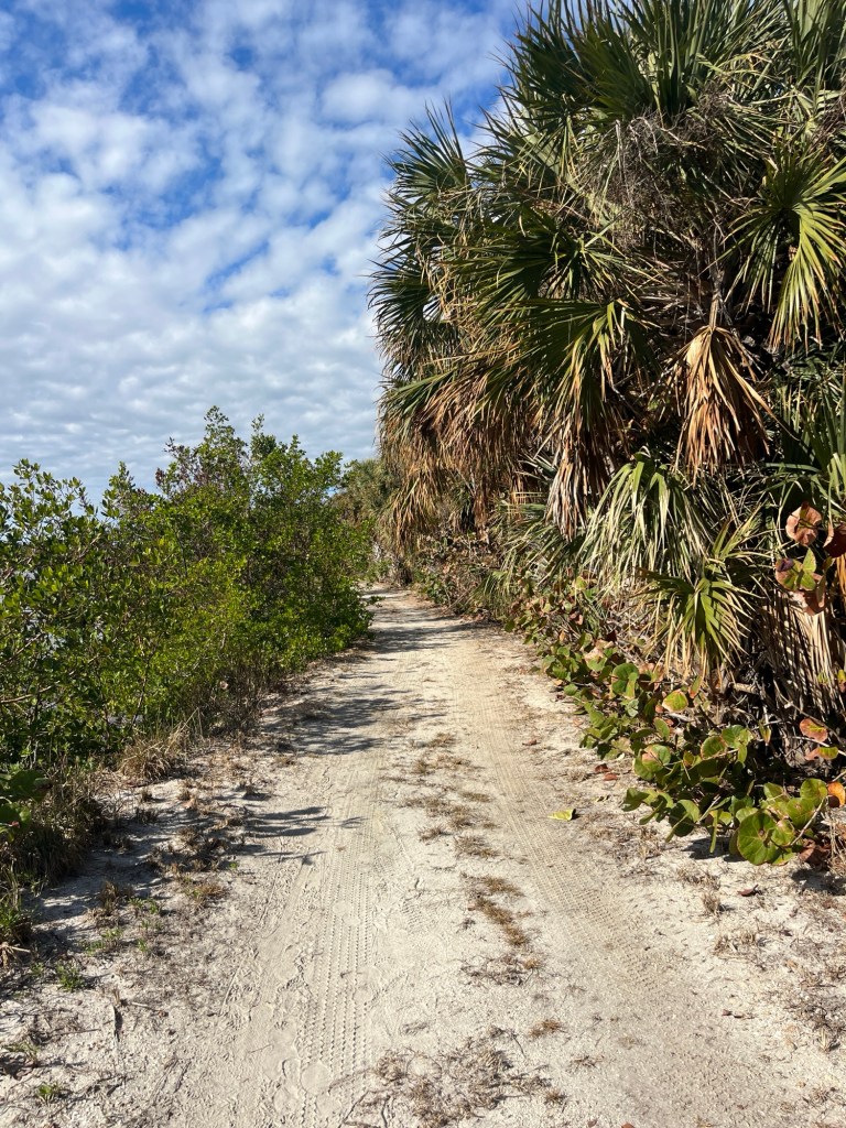 Fix Your New Year’s Resolutions