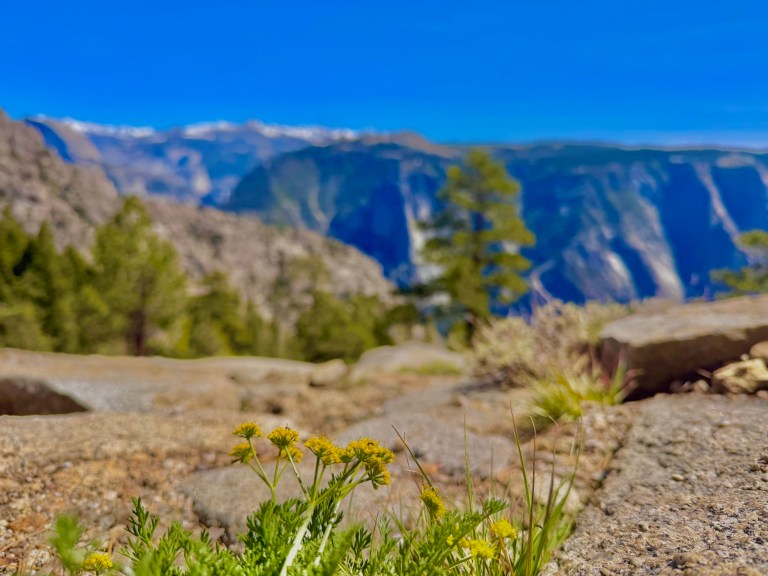 Discomfort is the Goal